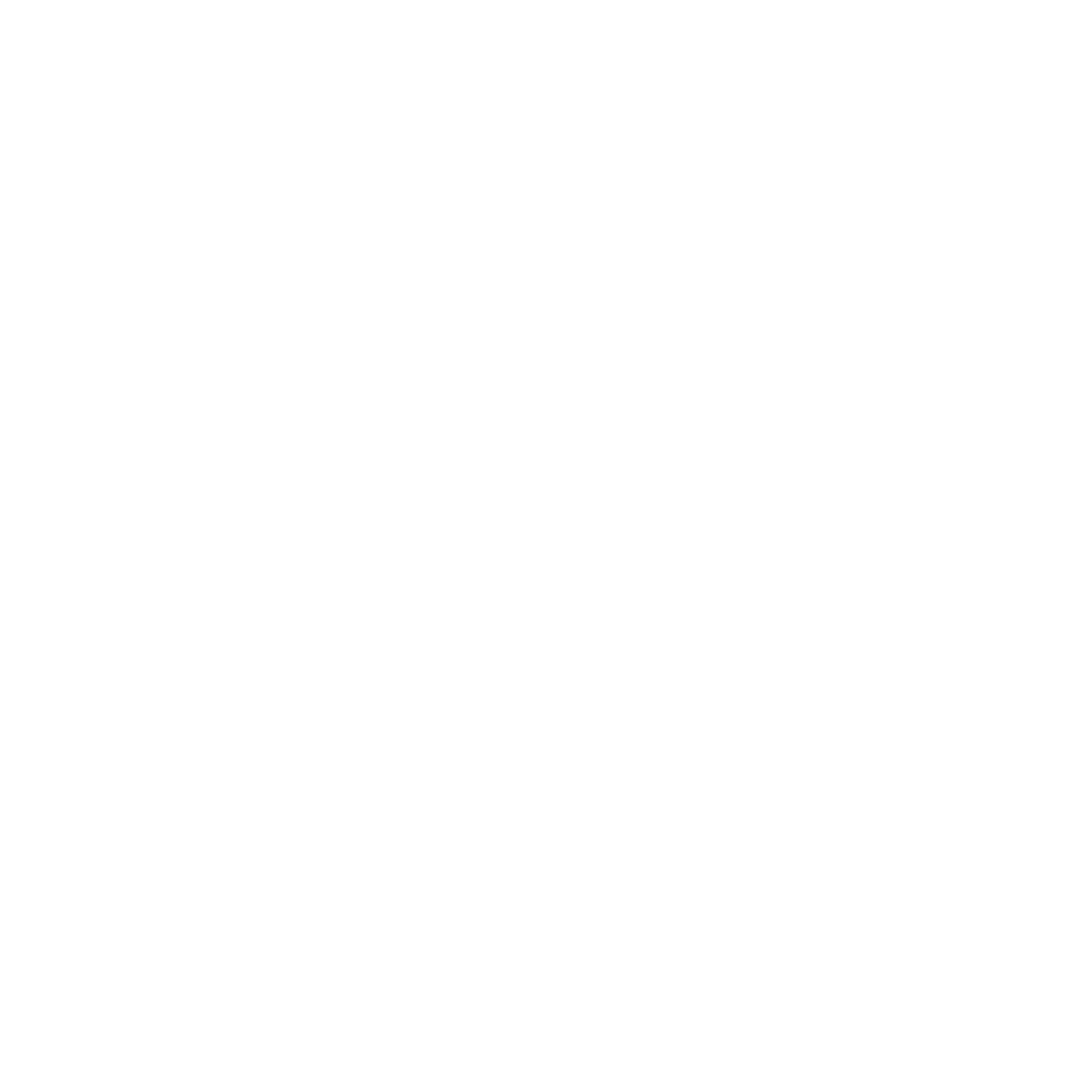 PAK MOTO LOGO